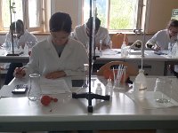 Schule 1179 : Schule